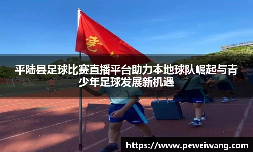 mk体育网站