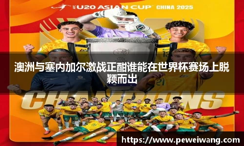 mk体育官方网址