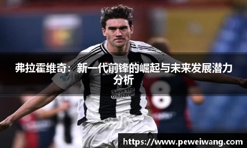 弗拉霍维奇：新一代前锋的崛起与未来发展潜力分析